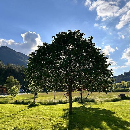 Camping Les Framboiseilles Castellane Kültér fotó