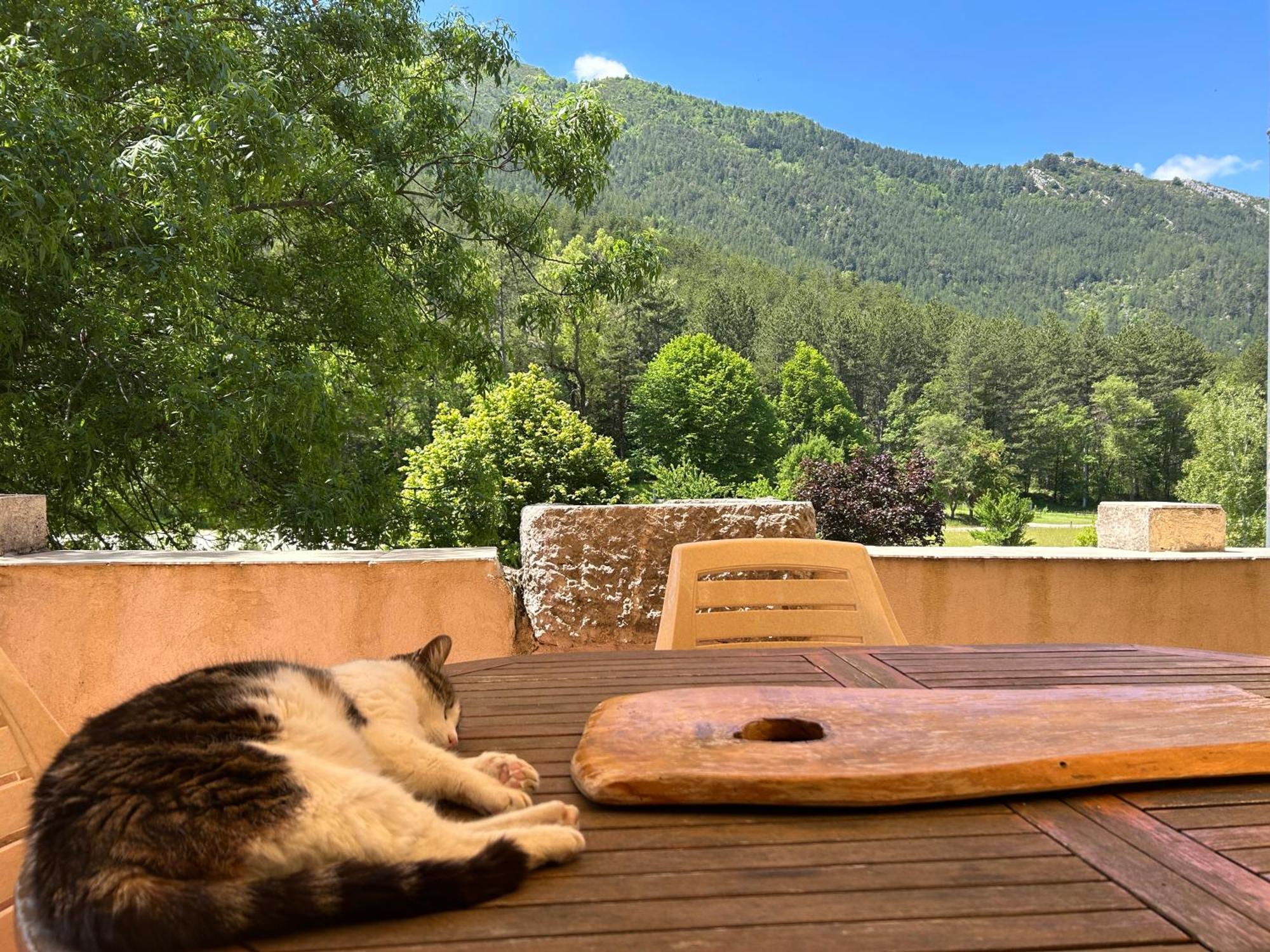 Camping Les Framboiseilles Castellane Kültér fotó