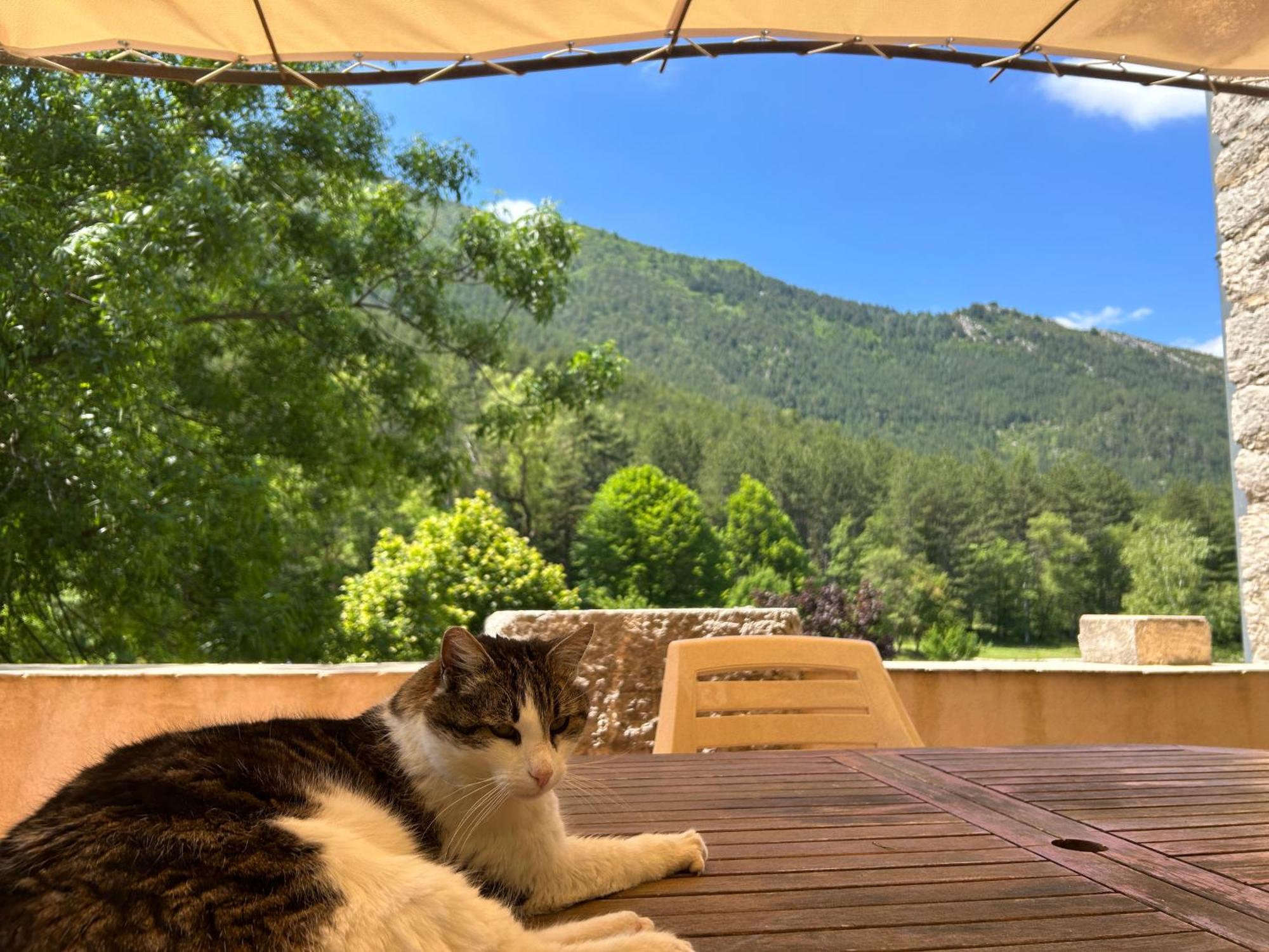 Camping Les Framboiseilles Castellane Kültér fotó