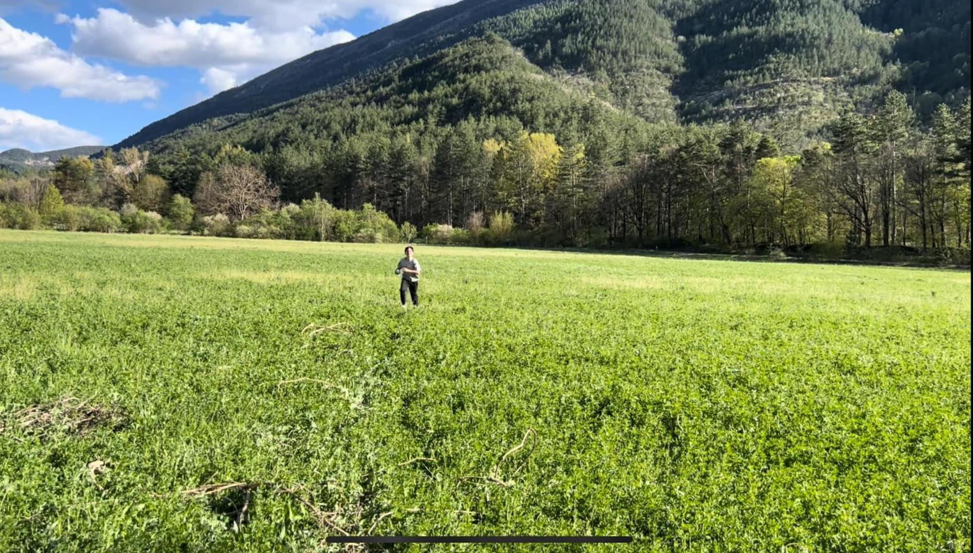 Camping Les Framboiseilles Castellane Kültér fotó